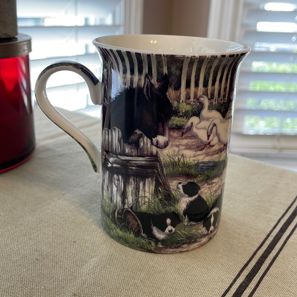 NORTHAMPTONSHIRE England “Cottage Farmyard” Fine Bone China Coffee Cup/Mug. EUC